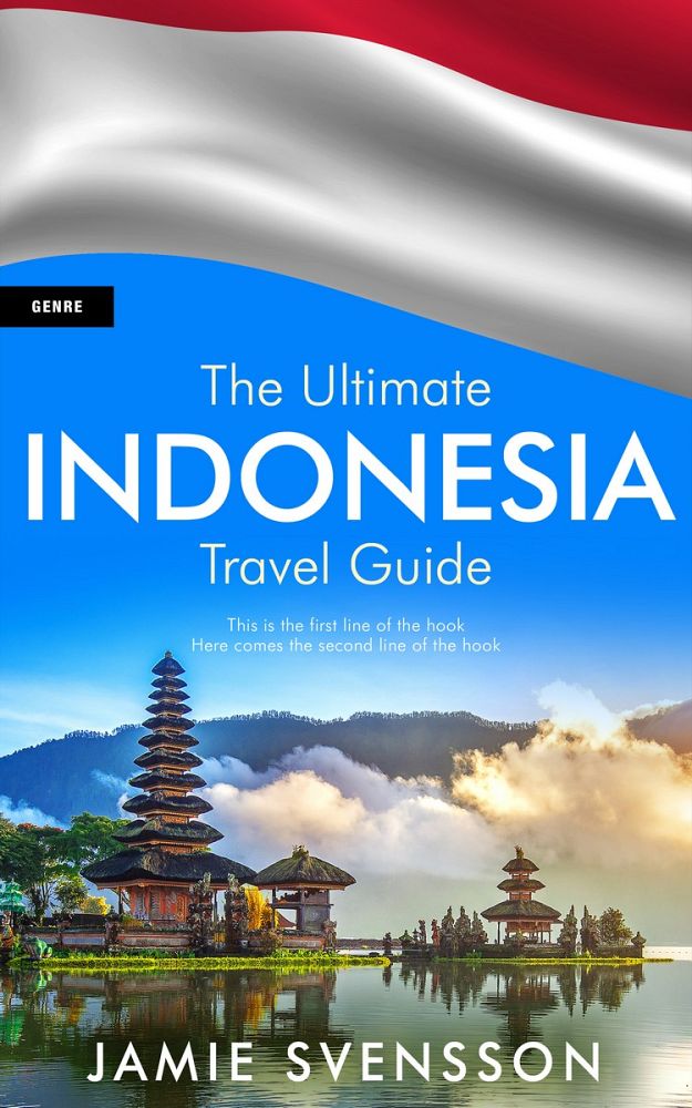 Front view of Curious Blue #5420 - Premade Travel Book Cover | BookCoverZone