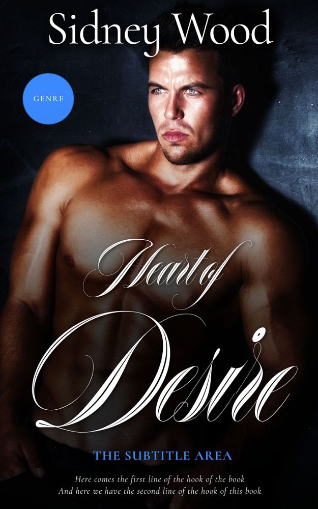 Front view of Cod Gray #10073 - Premade Erotica Book Cover | BookCoverZone