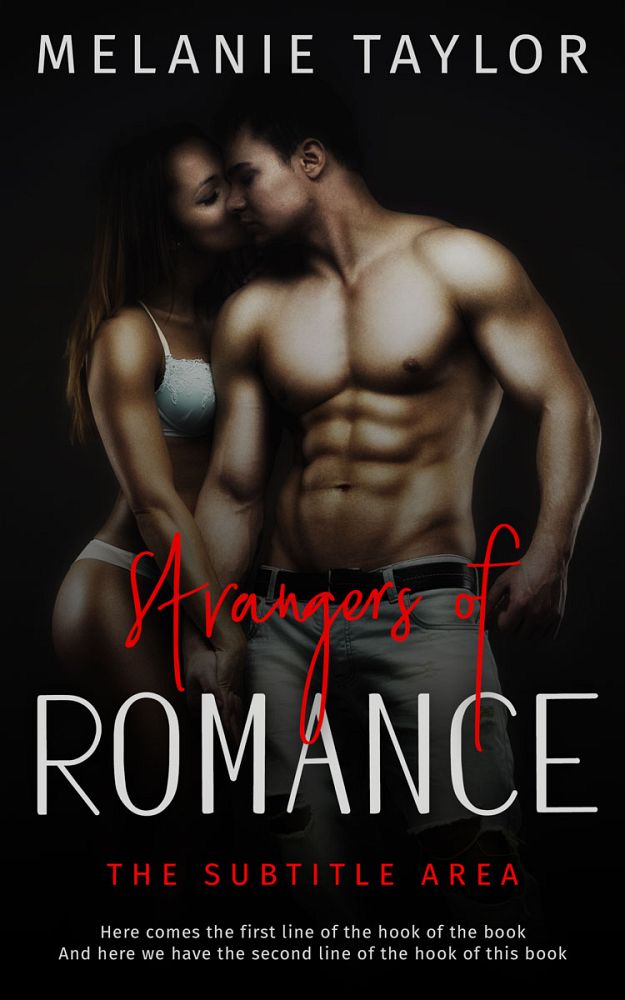 Front view of Cod Gray #11060 - Premade Erotica Book Cover | BookCoverZone