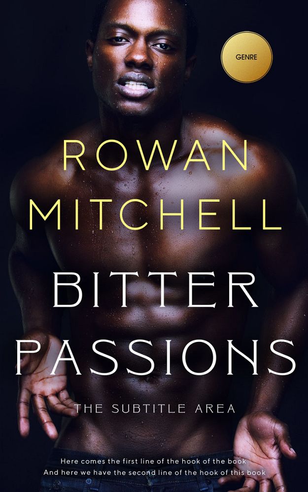 Front view of Bastille #11943 - Premade Erotica Book Cover | BookCoverZone
