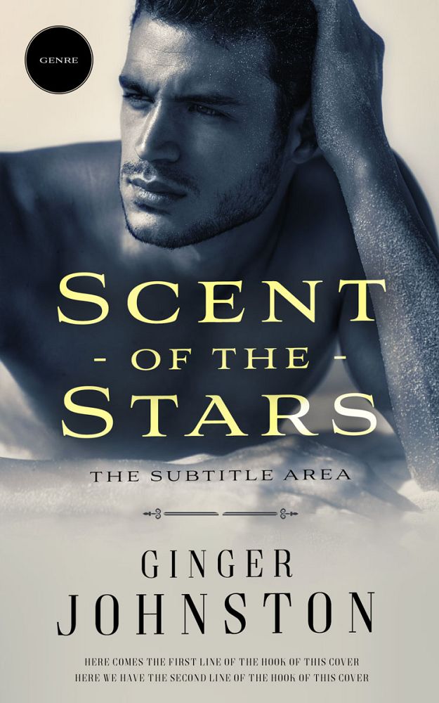 Front view of Foggy Gray #13072 - Premade Romance Book Cover | BookCoverZone