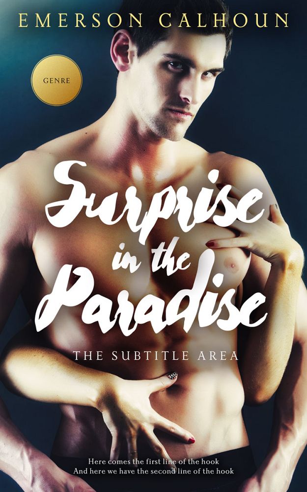 Front view of Akaroa #13386 - Premade Romance Book Cover | BookCoverZone