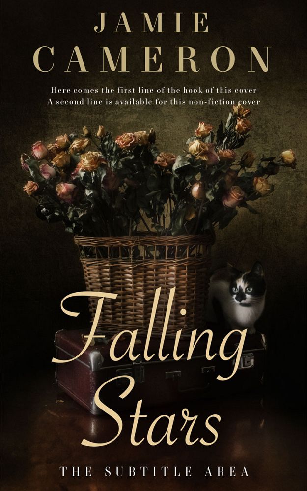 Front view of Eternity #16497 - Premade Poetry Book Cover | BookCoverZone