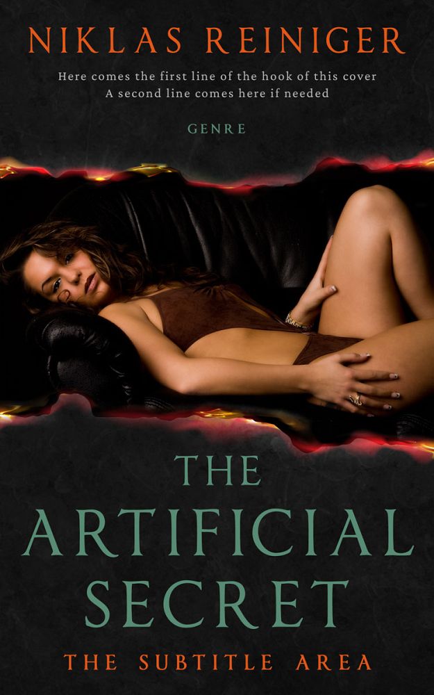 Front view of Cod Gray #24809 - Premade Chick Lit Book Cover | BookCoverZone