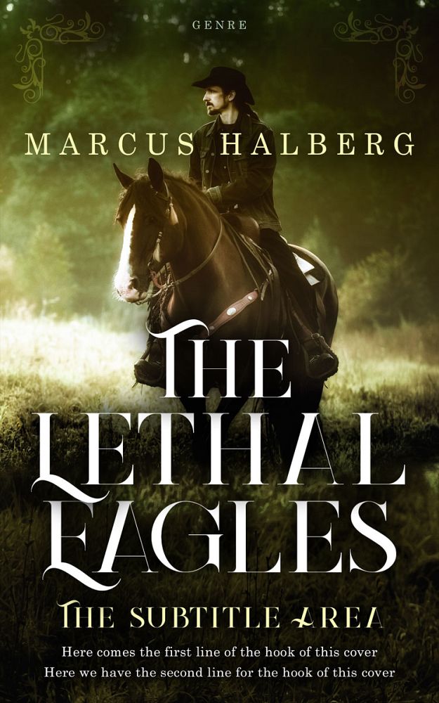 Front view of Mikado #27350 - Premade Action & Adventure Book Cover | BookCoverZone