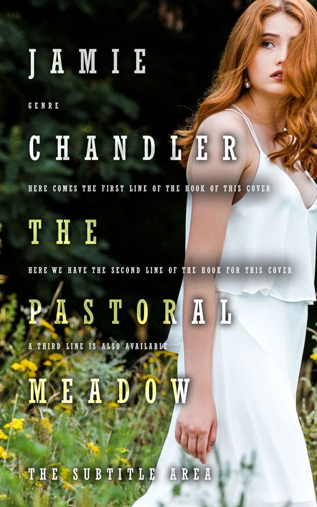 Front view of Moon Mist #31476 - Premade Romance Book Cover | BookCoverZone