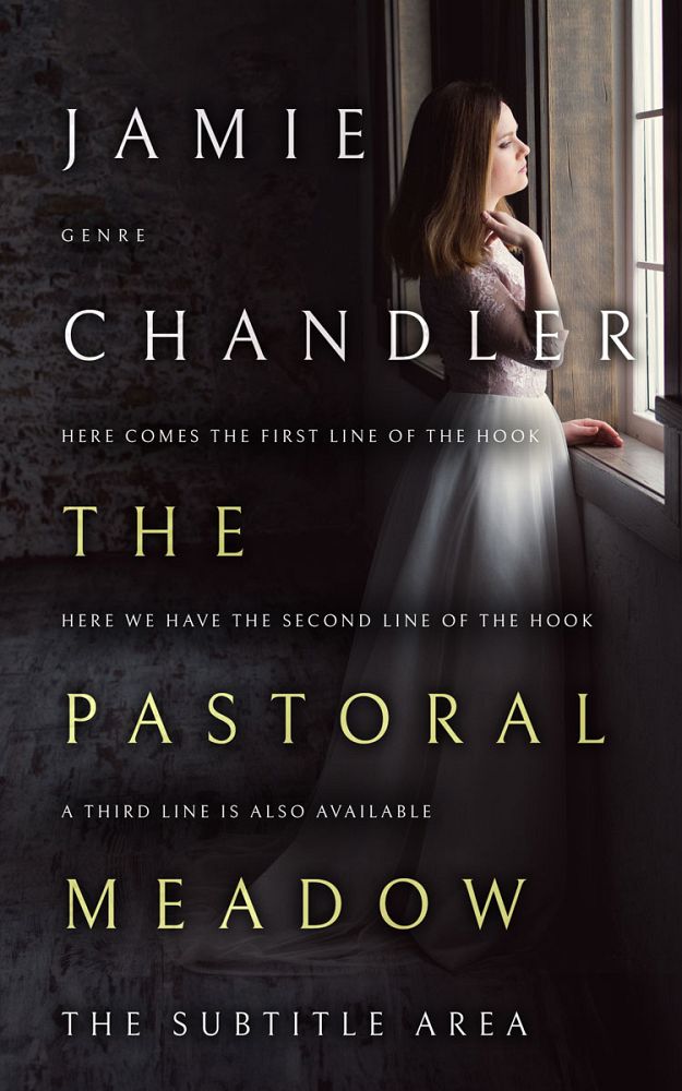Front view of Cod Gray #31478 - Premade Romance Book Cover | BookCoverZone