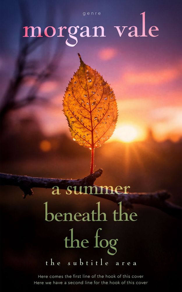 Front view of Copperfield #33738 - Premade Travel Book Cover | BookCoverZone