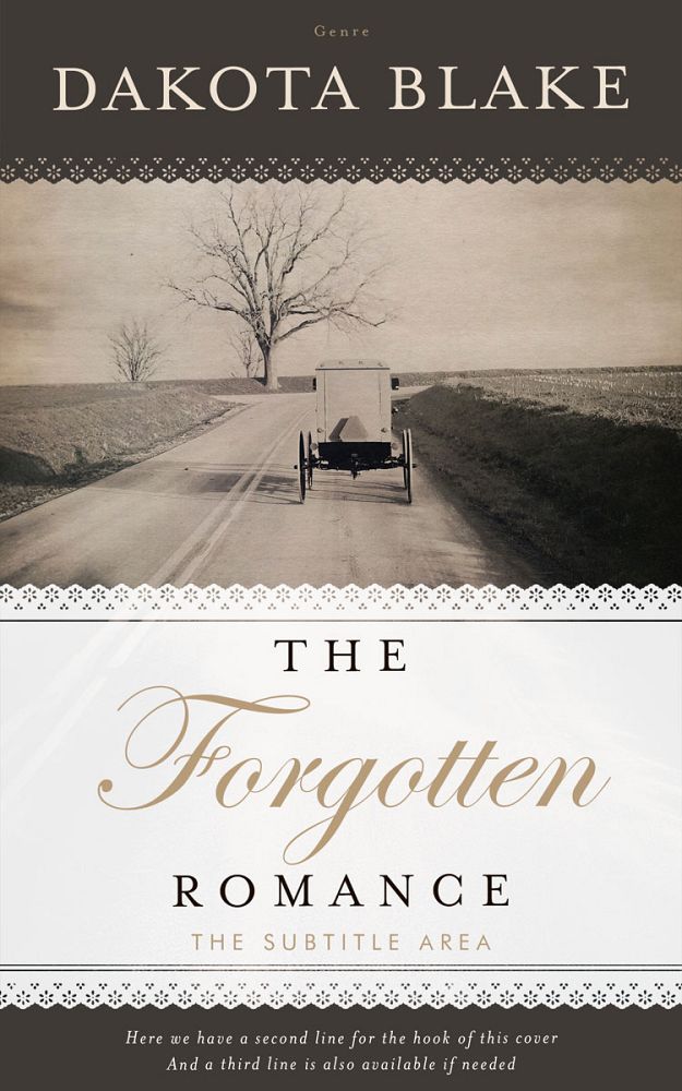 Front view of Armadillo #34618 - Premade Romance Book Cover | BookCoverZone