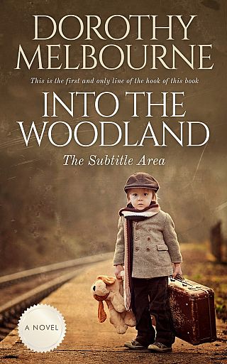 3D mockup of Shingle Fawn #0807 - Premade Travel Book Cover | BookCoverZone