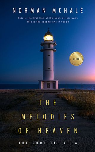 3D mockup of Big Stone #1047 - Premade Literary Fiction Book Cover | BookCoverZone