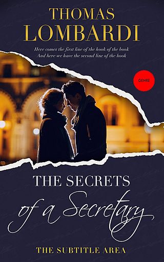 3D mockup of Steel Gray #2174 - Premade Romance Book Cover | BookCoverZone