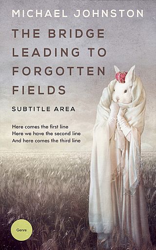 3D mockup of Cotton Seed #3402 - Premade Fantasy Book Cover | BookCoverZone