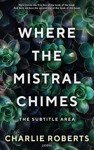 3D mockup of Aztec #4345 - Premade Romance Book Cover | BookCoverZone