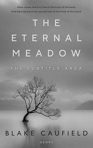 3D mockup of Gray #4740 - Premade Mystery & Thriller & Suspense Book Cover | BookCoverZone