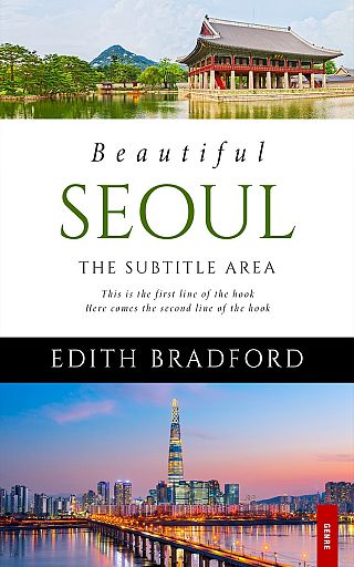 3D mockup of Chatelle #5342 - Premade Travel Book Cover | BookCoverZone