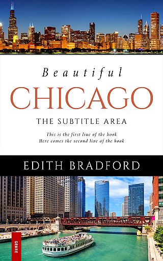 3D mockup of Ebony Clay #5358 - Premade Travel Book Cover | BookCoverZone