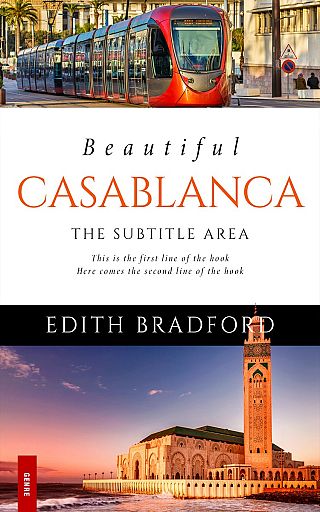 3D mockup of Falcon #5379 - Premade Travel Book Cover | BookCoverZone