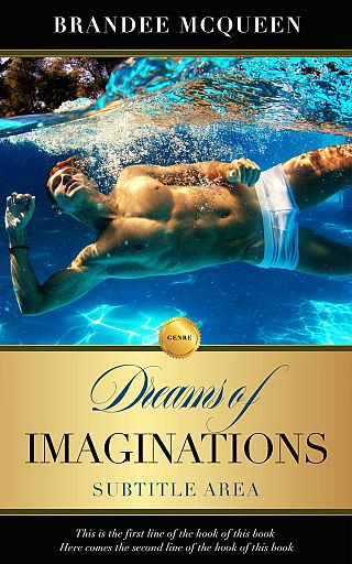 3D mockup of Big Stone #5549 - Premade Erotica Book Cover | BookCoverZone