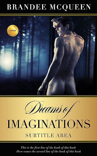 3D mockup of Mirage #5553 - Premade Erotica Book Cover | BookCoverZone