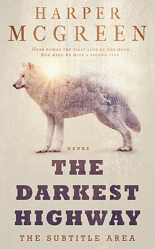 3D mockup of Wafer #7030 - Premade Mystery & Thriller & Suspense Book Cover | BookCoverZone