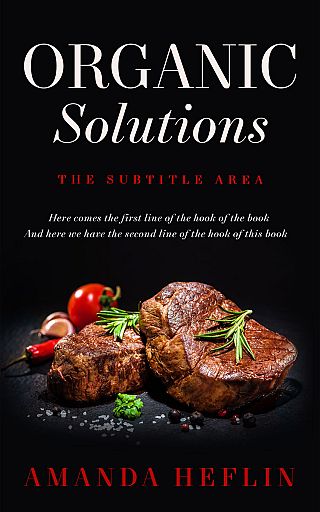 3D mockup of Cinder #10520 - Premade Cookbooks & Food & Wine Book Cover | BookCoverZone