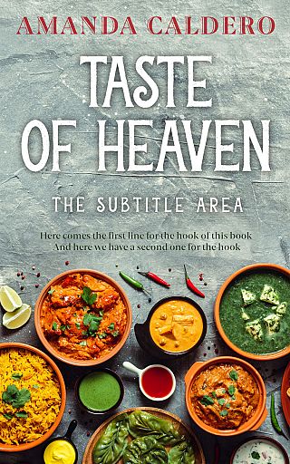 3D mockup of Pewter #10555 - Premade Travel Book Cover | BookCoverZone