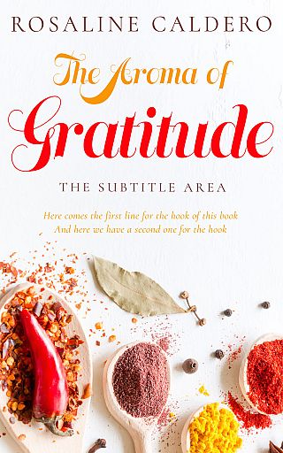 3D mockup of Thunderbird #10598 - Premade Cookbooks & Food & Wine Book Cover | BookCoverZone