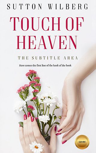 3D mockup of Ebb #10860 - Premade Chick Lit Book Cover | BookCoverZone