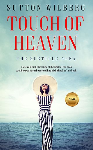 3D mockup of Edgewater #10865 - Premade Chick Lit Book Cover | BookCoverZone