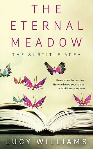 3D mockup of Tahuna Sands #11089 - Premade Poetry Book Cover | BookCoverZone