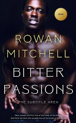 3D mockup of Bastille #11943 - Premade Erotica Book Cover | BookCoverZone