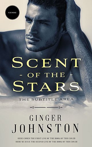 3D mockup of Foggy Gray #13072 - Premade Romance Book Cover | BookCoverZone