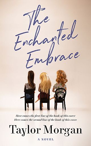 3D mockup of Bizarre #14846 - Premade Chick Lit Book Cover | BookCoverZone