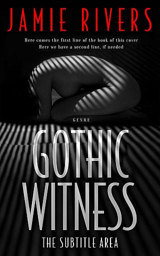 3D mockup of Cod Gray #16029 - Premade Abstract Book Cover | BookCoverZone