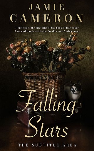 3D mockup of Eternity #16497 - Premade Poetry Book Cover | BookCoverZone