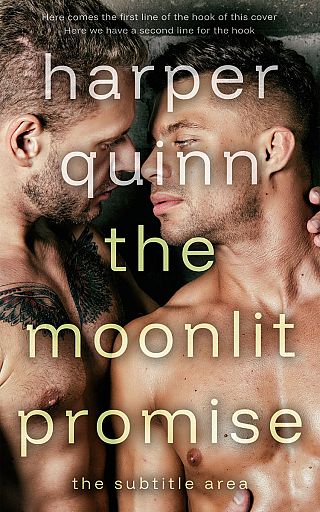 3D mockup of Sandal #16885 - Premade Erotica Book Cover | BookCoverZone