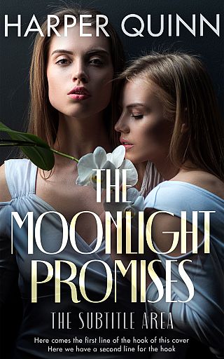 3D mockup of Tuatara #16896 - Premade Romance Book Cover | BookCoverZone