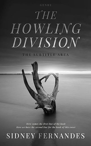 3D mockup of Tundora #20468 - Premade Poetry Book Cover | BookCoverZone