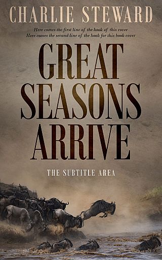 3D mockup of Sand Dune #20934 - Premade Nature Book Cover | BookCoverZone