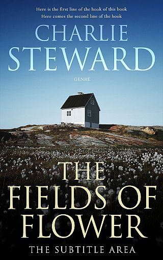 3D mockup of Jungle Mist #21003 - Premade Literary Fiction Book Cover | BookCoverZone