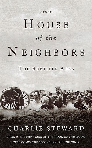 3D mockup of Cocoa Brown #21042 - Premade Historical Book Cover | BookCoverZone