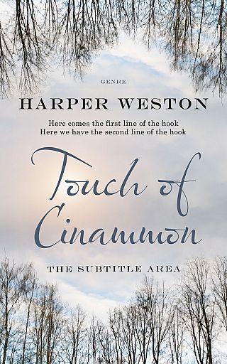 3D mockup of Pale Slate #22872 - Premade Abstract Book Cover | BookCoverZone