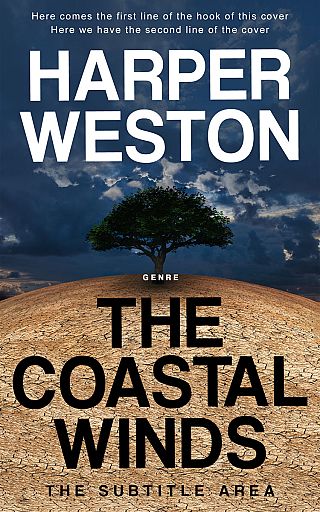3D mockup of Ebony Clay #24099 - Premade Surreal Book Cover | BookCoverZone