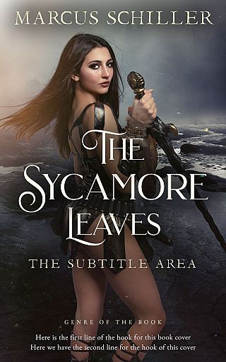 3D mockup of Mine Shaft #25791 - Premade Historical Book Cover | BookCoverZone