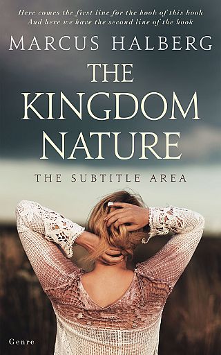 3D mockup of Cape Cod #27161 - Premade Literary Fiction Book Cover | BookCoverZone