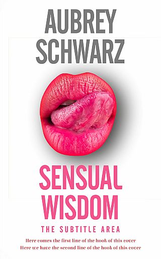 3D mockup of Cabaret #27532 - Premade Travel Book Cover | BookCoverZone