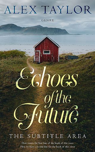 3D mockup of Birch #28881 - Premade Literary Fiction Book Cover | BookCoverZone