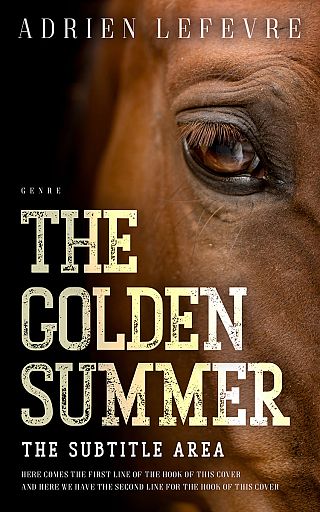 3D mockup of Sambuca #29383 - Premade Western Book Cover | BookCoverZone