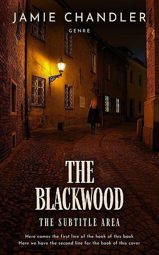 3D mockup of Cannon Black #31337 - Premade Mystery & Thriller & Suspense Book Cover | BookCoverZone